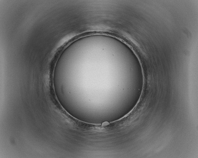 X0000111131315200906301202