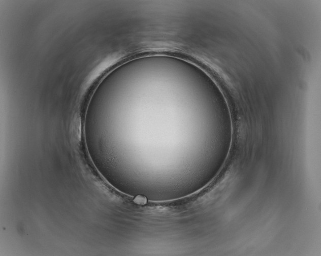 X0000111131317200906301202