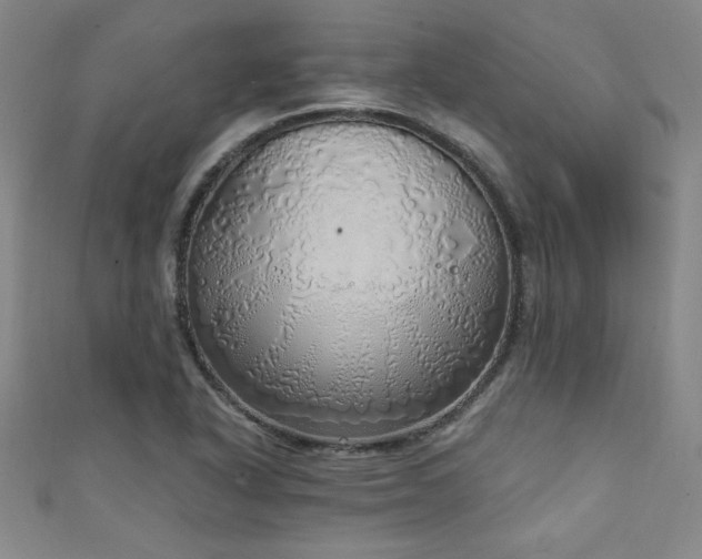 X0000111131318200906301202