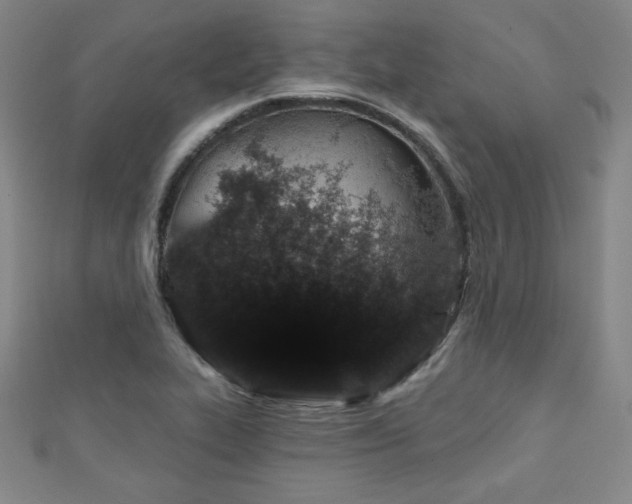 X0000111131319200906301202