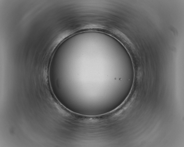 X0000111131321200906301202