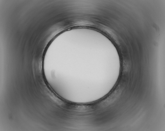 X0000111131322200906301202