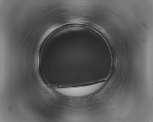 X0000111131323200906301202