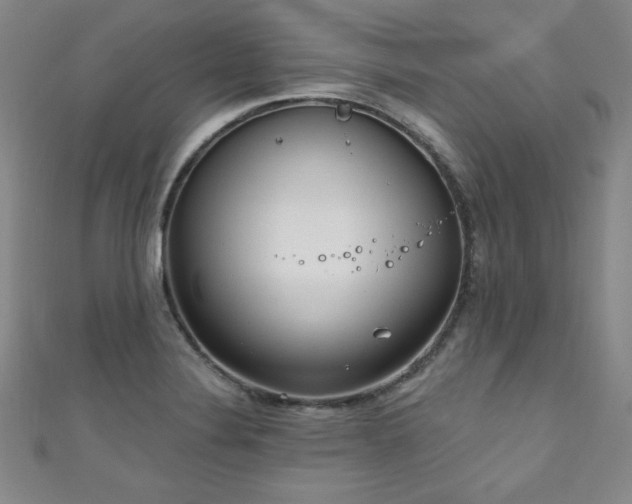 X0000111131324200906301202