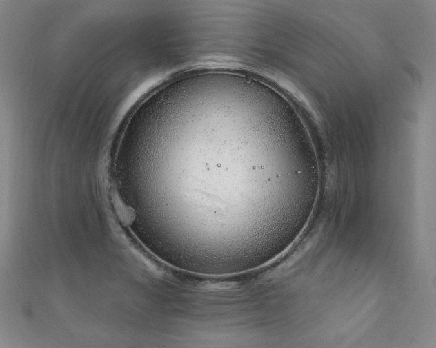 X0000111131325200906301202