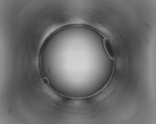 X0000111131326200906301202