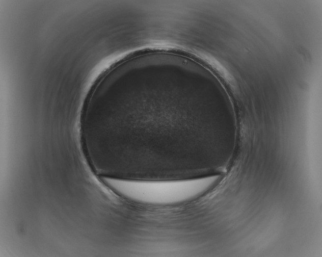 X0000111131327200906301202