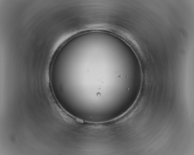 X0000111131328200906301202