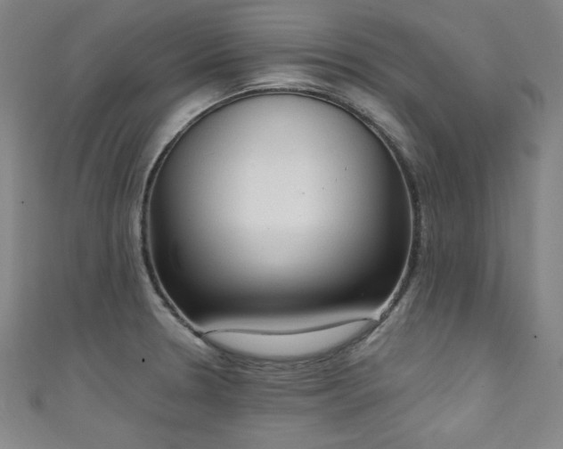 X0000111131330200906301202
