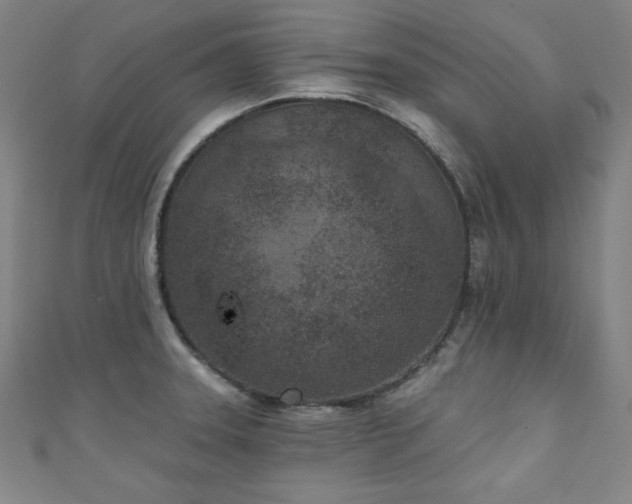 X0000111131331200906301202