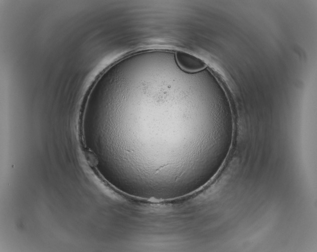 X0000111131333200906301202