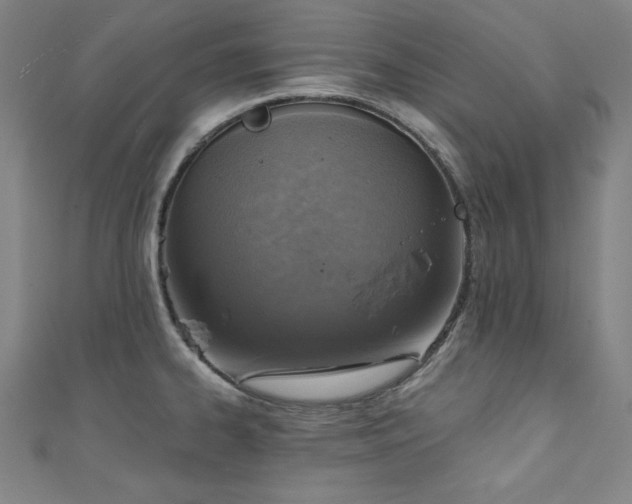X0000111131334200906301202