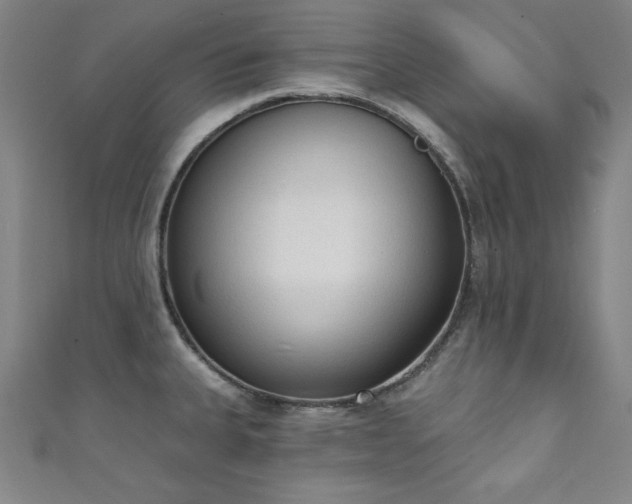 X0000111131335200906301202
