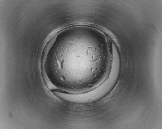 X0000111131338200906301202