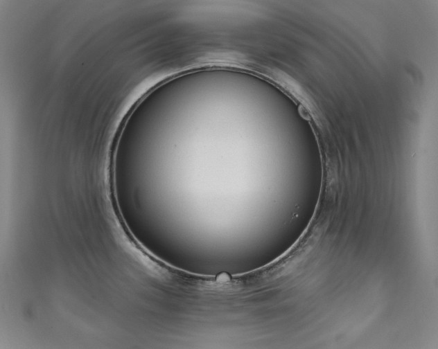 X0000111131339200906301202