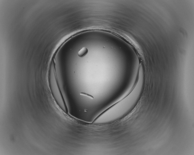X0000111131340200906301202
