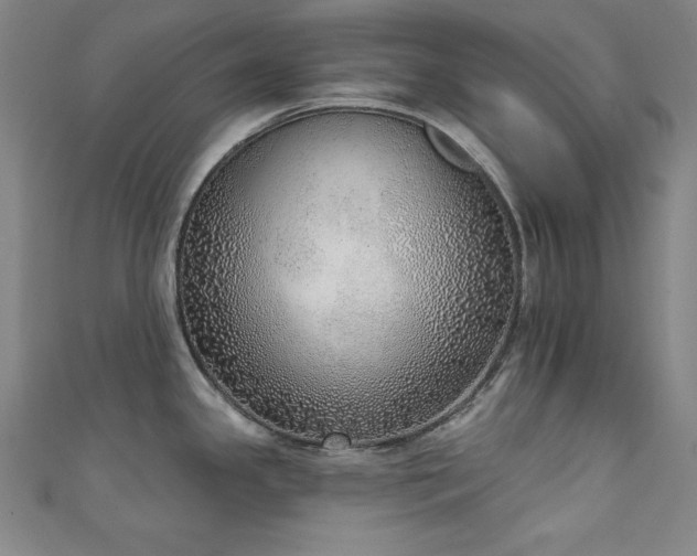 X0000111131341200906301202