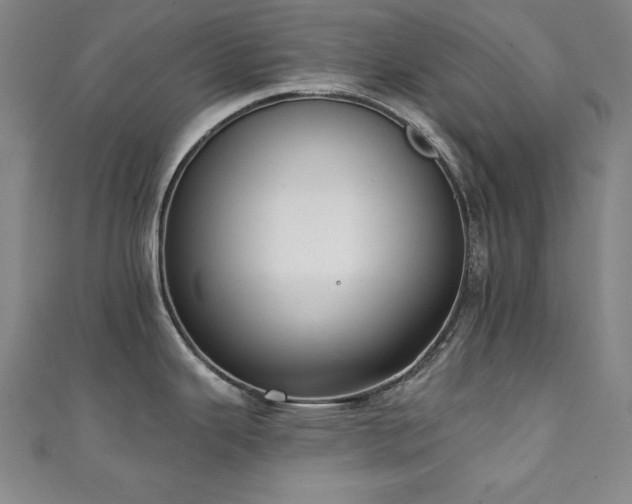 X0000111131343200906301202