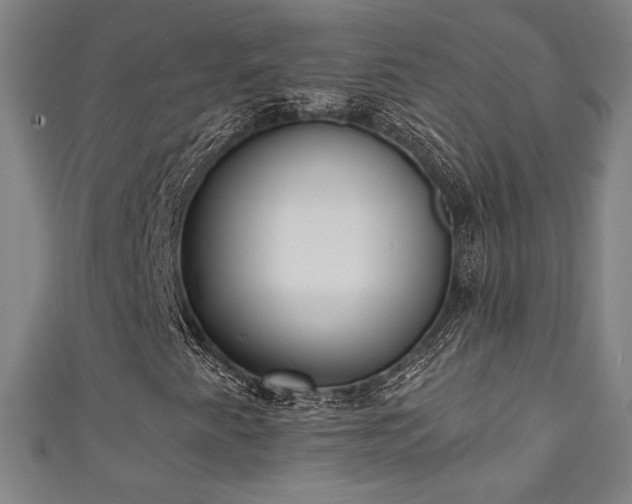 X0000111131345200906301202