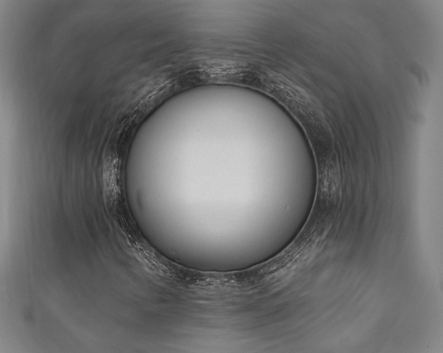 X0000111131346200906301202