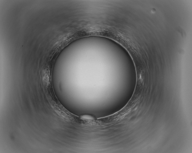 X0000111131348200906301202