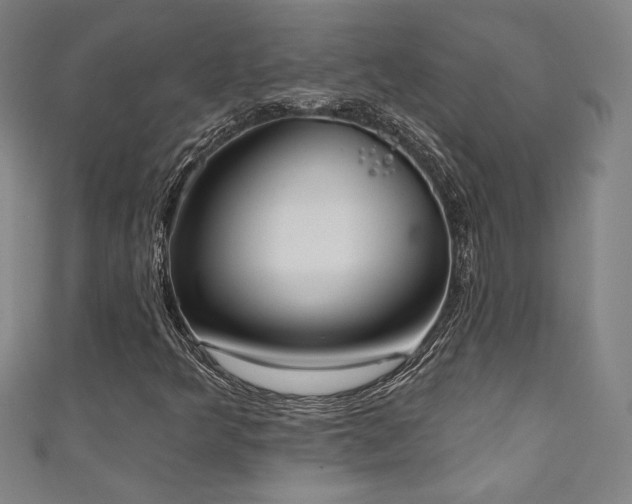 X0000111131349200906301202