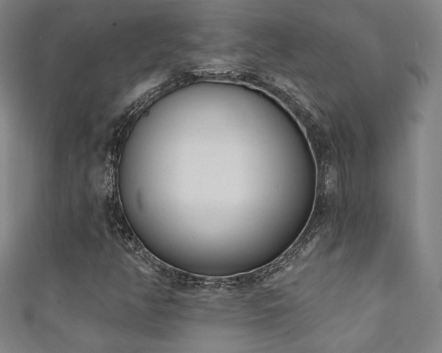 X0000111131350200906301202