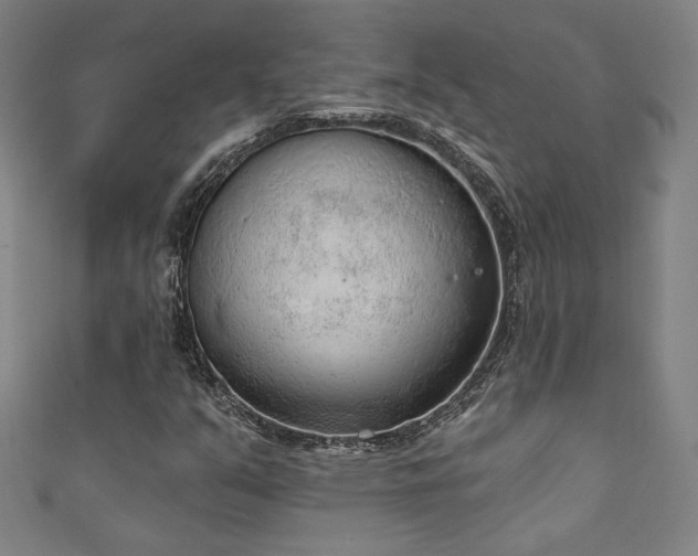 X0000111131351200906301202