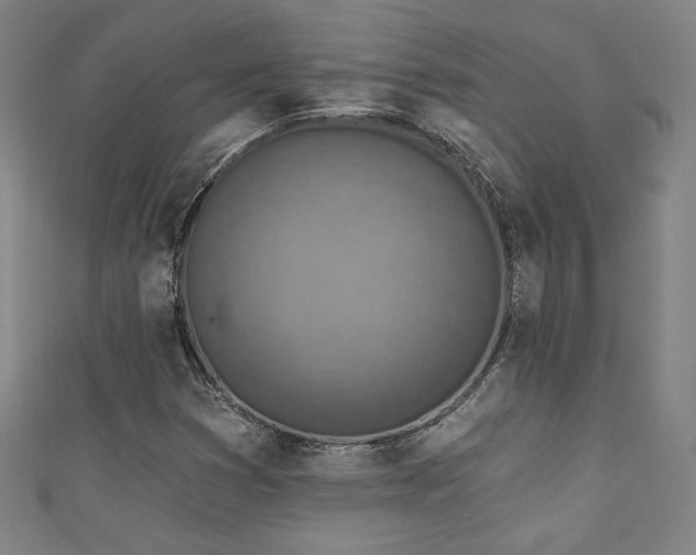 X0000111131353200906301202