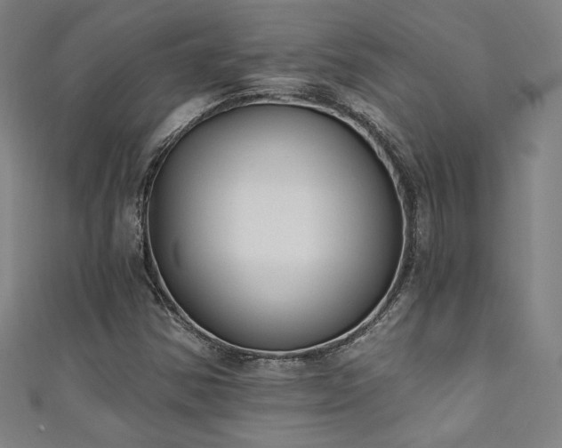 X0000111131354200906301201