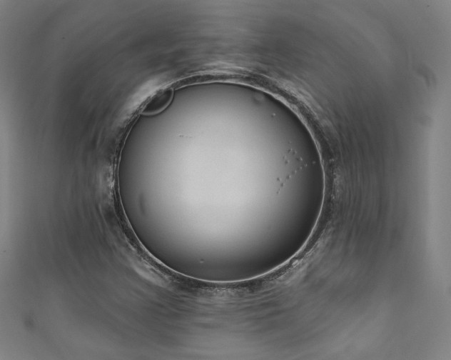 X0000111131355200906301201