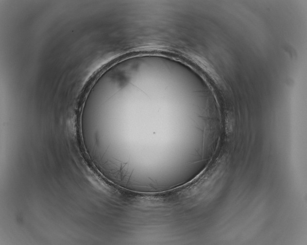 X0000111131356200906301201