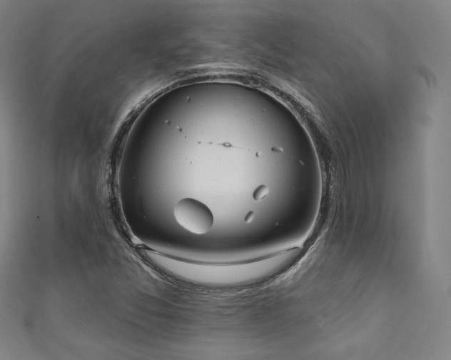 X0000111131357200906301201