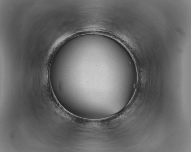 X0000111131358200906301201