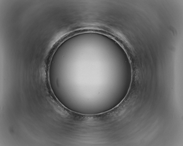 X0000111131360200906301201