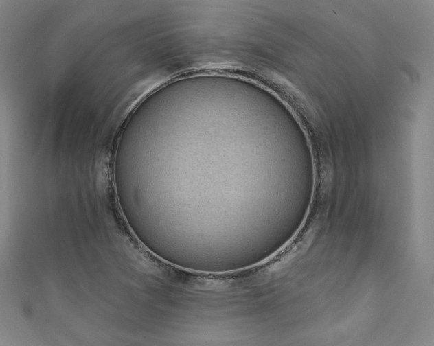 X0000111131361200906301201