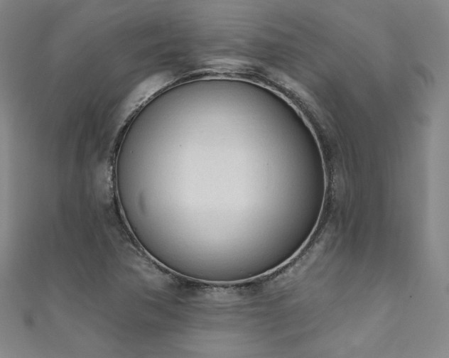 X0000111131362200906301201