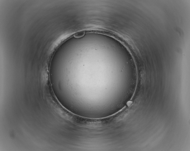 X0000111131363200906301201