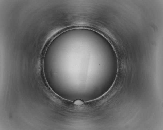 X0000111131364200906301201