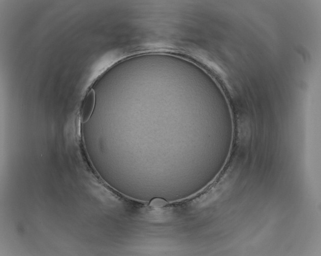 X0000111131365200906301201