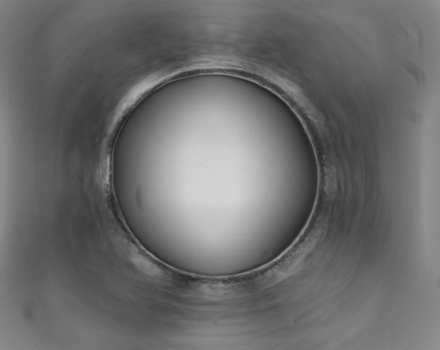 X0000111131366200906301201