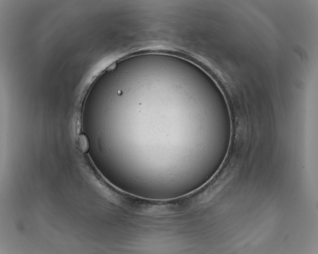 X0000111131367200906301201