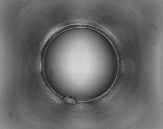 X0000111131368200906301201