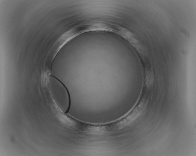 X0000111131369200906301201