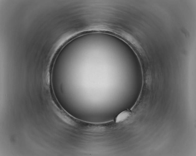 X0000111131372200906301201