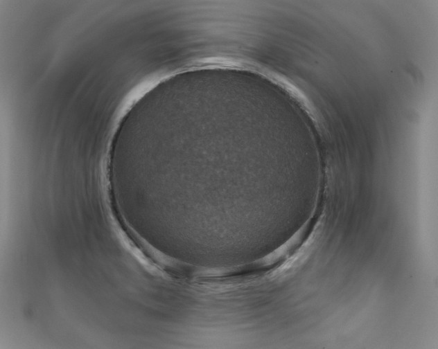 X0000111131373200906301201