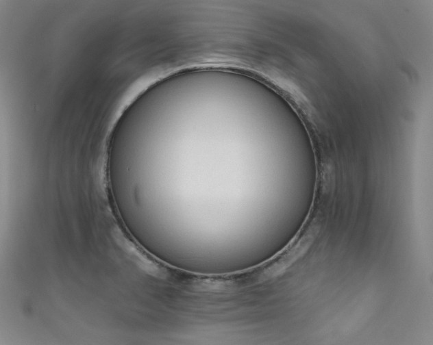 X0000111131374200906301201