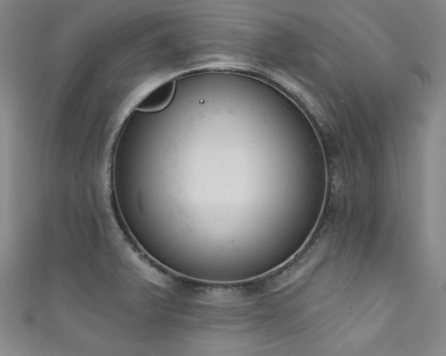 X0000111131375200906301201