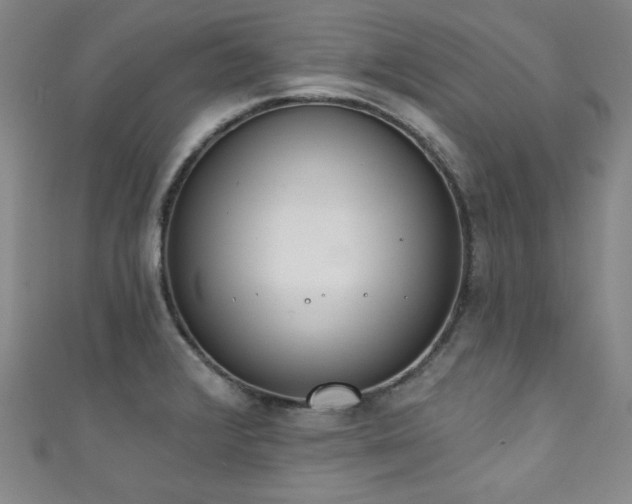 X0000111131376200906301201