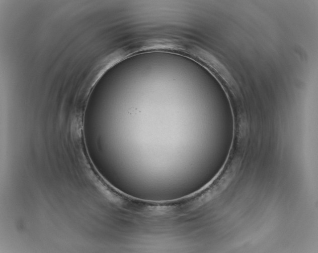 X0000111131377200906301201